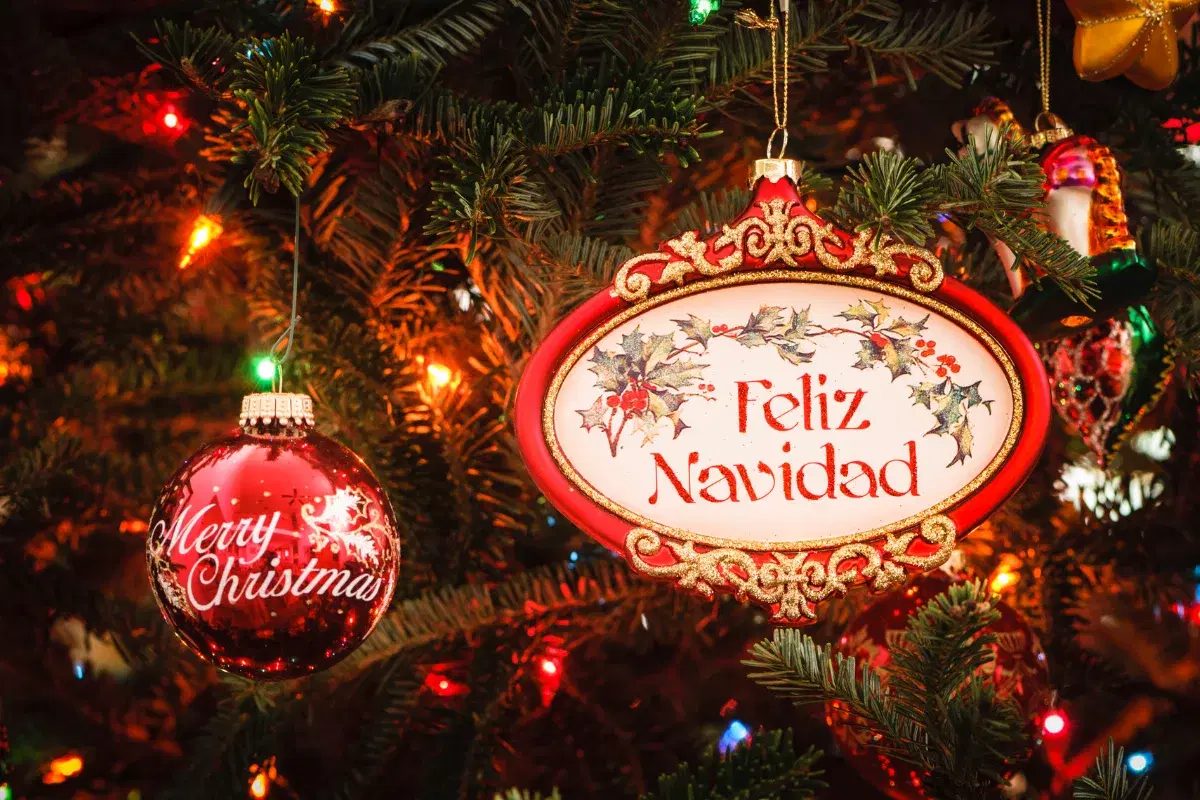 Discover interesting facts about Christmas in Spain