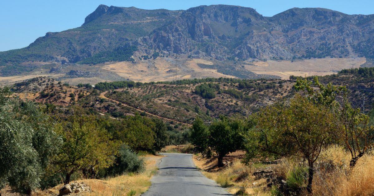 Park Narodowy Sierra de las Nieves – dzika przyroda 30 km od Marbelli